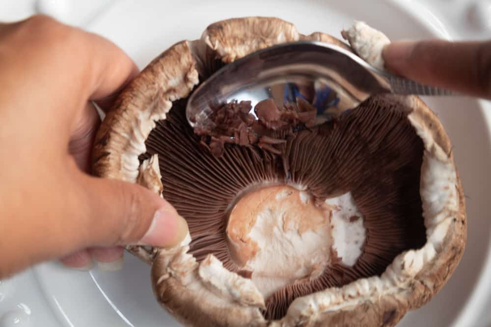 portobello mushroom with gills being removed on white plate