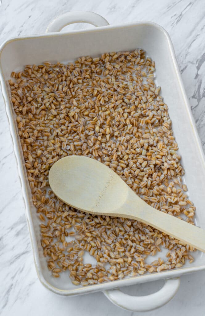 cooked farro in baking pan with wooden spoon